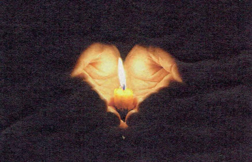 Wereld Feesten Almanak